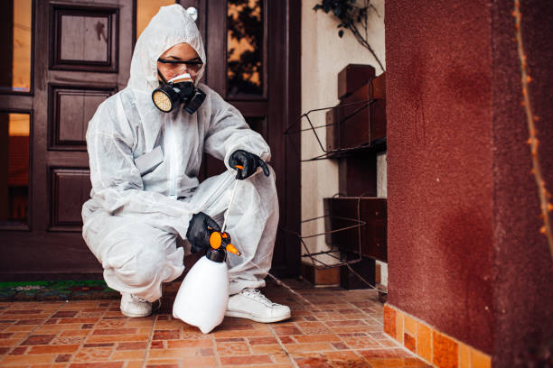 Reliable Wasp Removal contractor in Brewer, ME by Show Me Pest Control